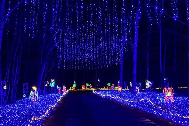 Joy Through the Grove