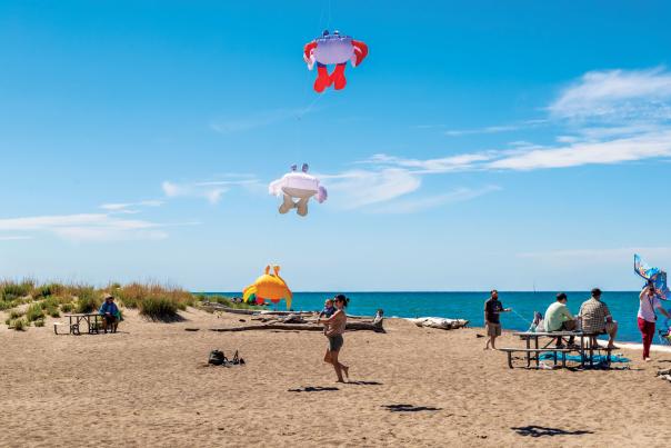 Kids and adults on a beach flying kites on a sunny day