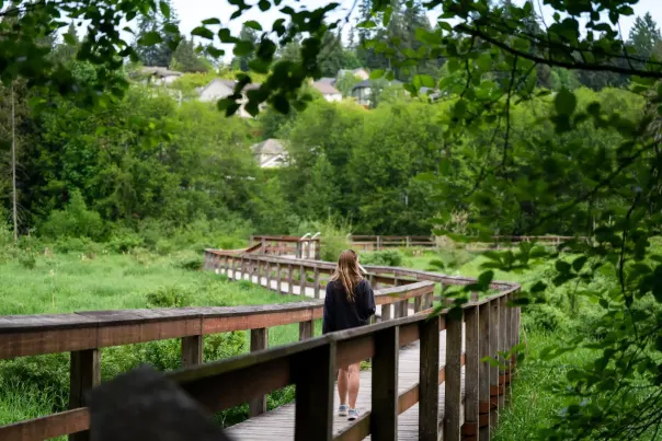 A person walking on a wooden path over a marsh.
