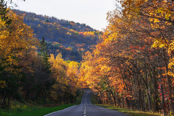 A road during fall color season in the Upper Peninsula of Michigan.