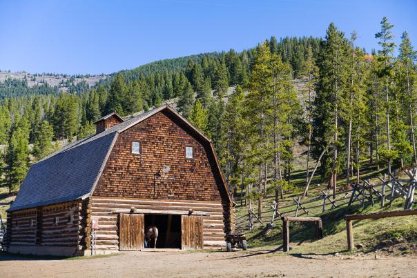 A rustic log barn stands in a sunlit clearing, surrounded by tall green trees and rolling hills, with a horse visible at the entrance.