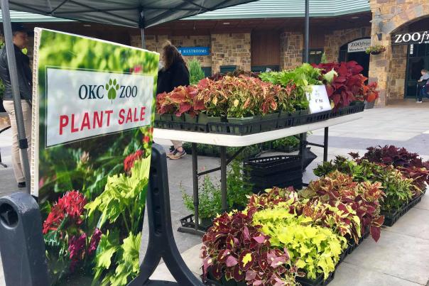 OKC Zoo Plant Sale