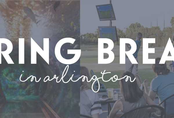 Spring Break Spring Break