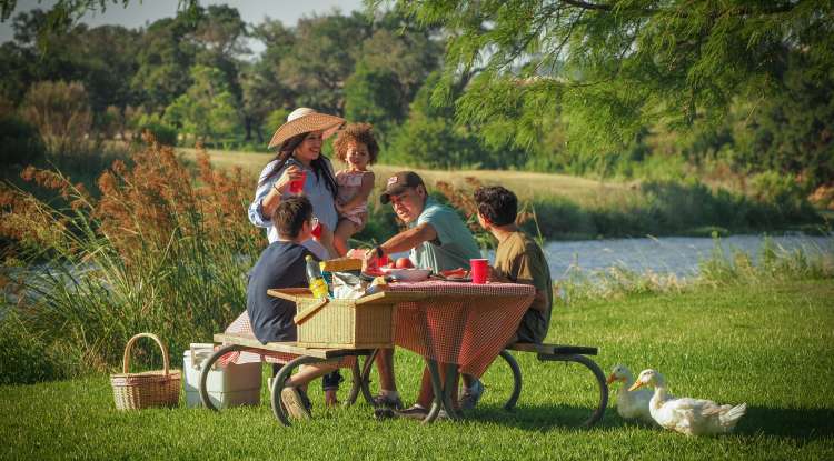 Family Picnic at Lady Bird Park