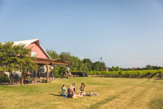 Winery yard near online me