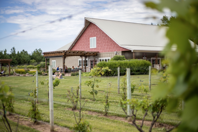 Wineries In Eau Claire Grape Harvest Wine Making Tasting