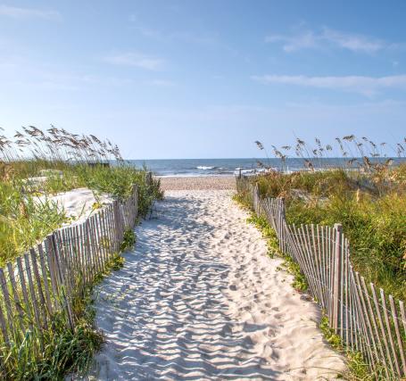 Beach Path