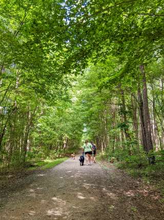 Outdoor Guide To Lake Norman NC Hiking Biking