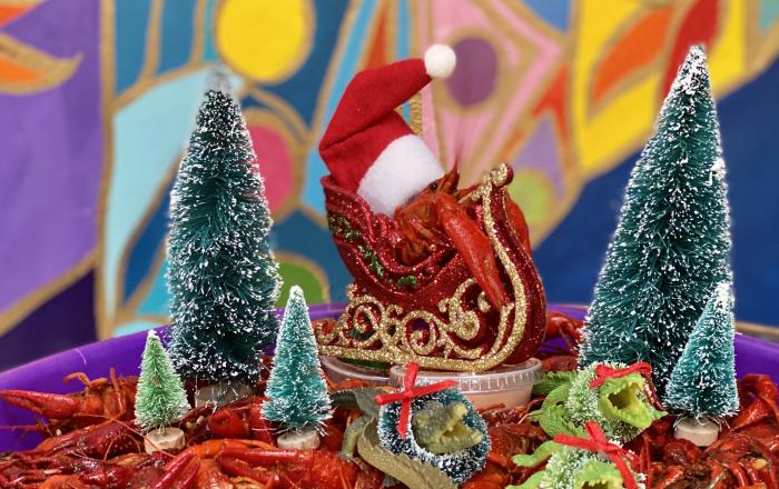 Christmas Events Beaumont Tx 2021 Holiday At Ford Park Southeast Texas Lights Event