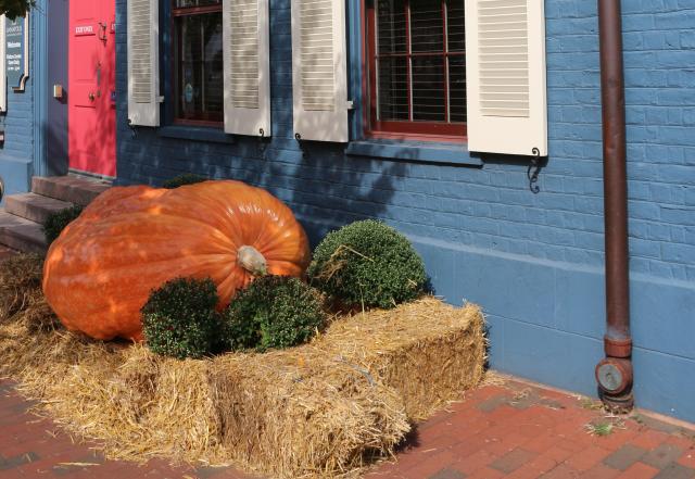 Blue building with a giant pumpkin in front