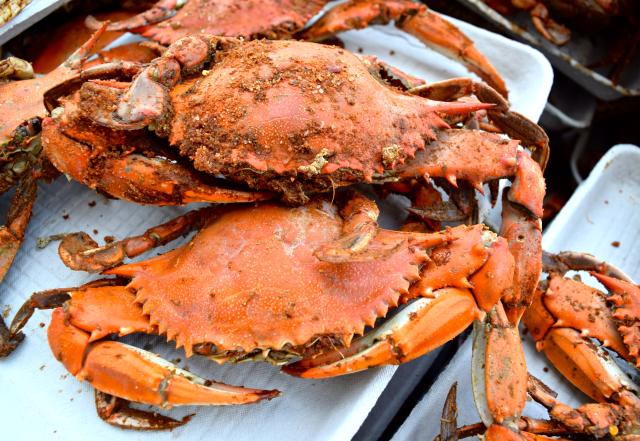 Worlds Largest Crab Feast