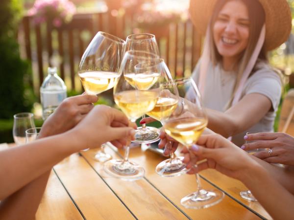 friends cheers with white wine