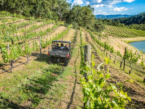 ATV Winery Tour in Calistoga, Napa Valley