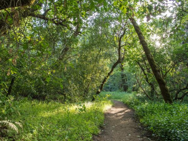 Napa Valley Outdoor Hike