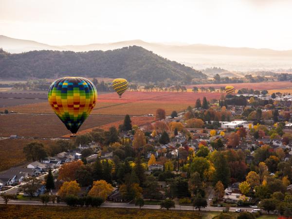 Aerial view of hot ballons taking off over a patch of trees