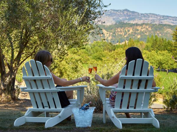 Two women sitting in Adirondack chairs holding a glass of wine overlooking the Chandon winery in Napa Valley