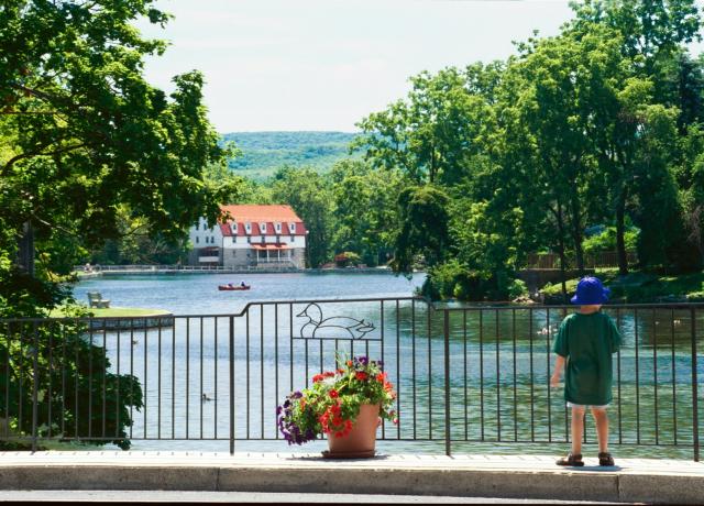 Boy looking out over Children's Lake from bridge