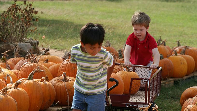 Children Playing in Pumpkins at Vogel Orchard