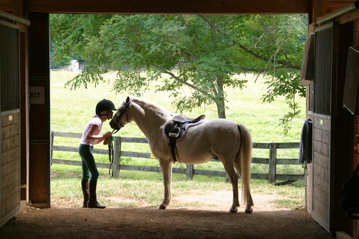 Girl with Horse