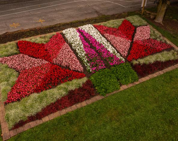 Image of a Quilt Garden