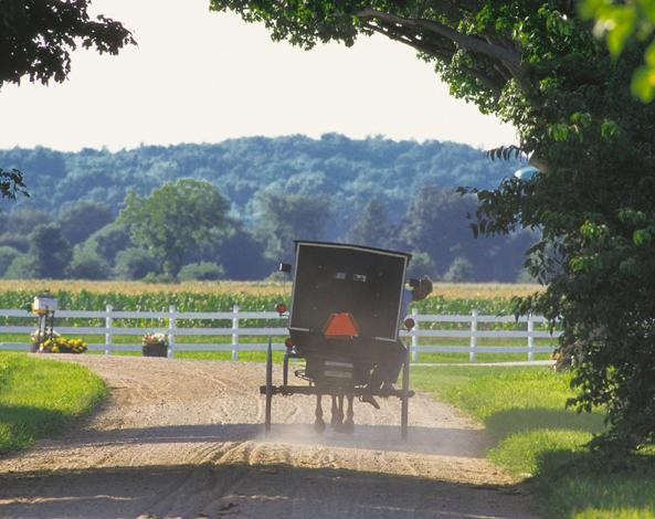 Image of Amish Buggy in Amish Country, northern Indiana