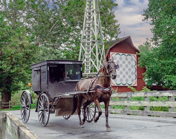 Photo of Amish Buggy Bonneyville Mill