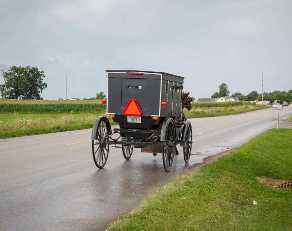photo of Amish Buggy in Middlebury