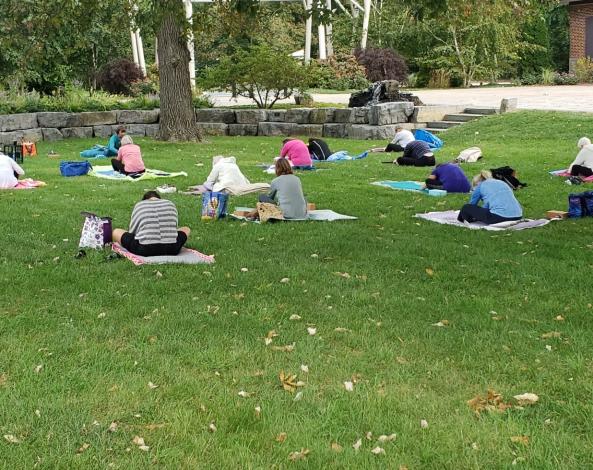 Yoga at Wellfield
