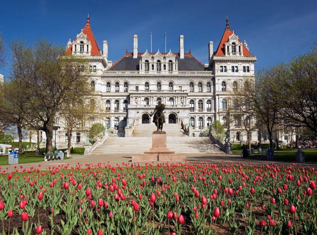 Colorful tulips bloom in front of the New York State Capitol Building