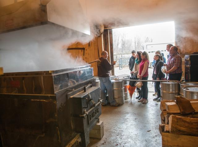 Cronin's Maple Farm during Maple Weekend