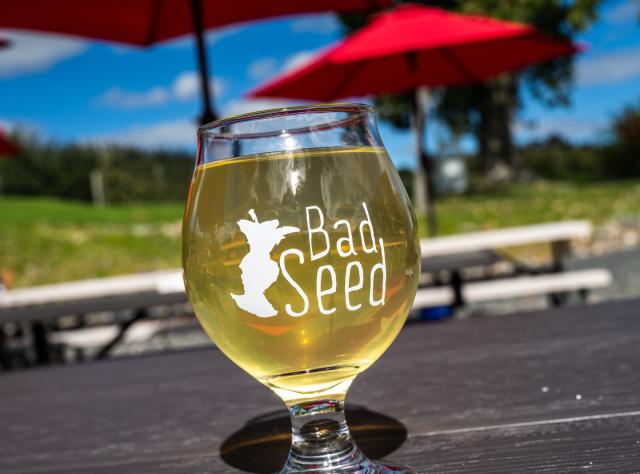 A glass of Bad Seed Cider Co. stands on a table on an outdoor patio