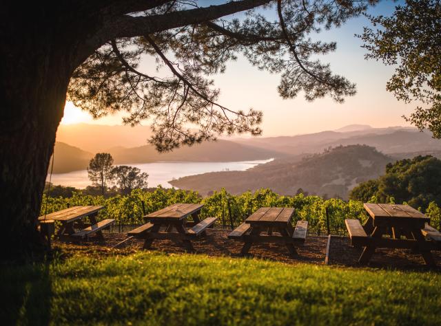 Visit Napa Valley Wineries, Hotels, Restaurants, Tours & Events