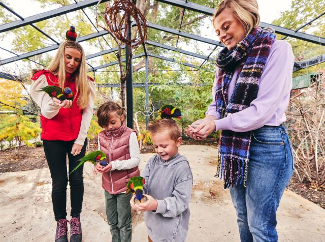 The Train Shoppe - Utah's Adventure Family