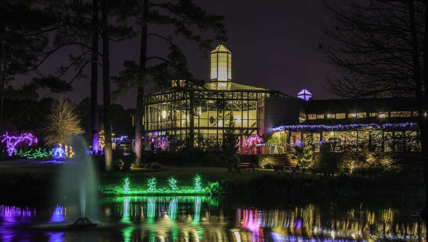Holiday Lights at the Cape Fear Botanical Garden