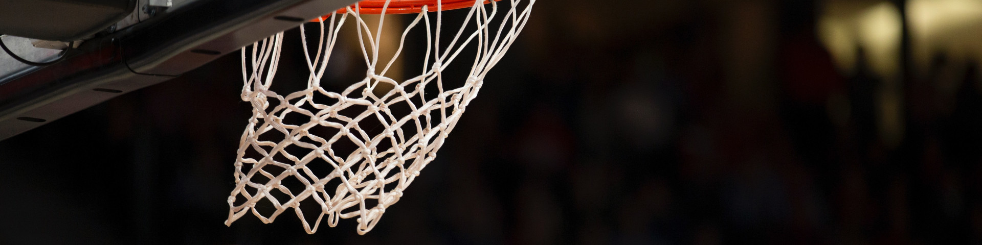 Basketball Net
