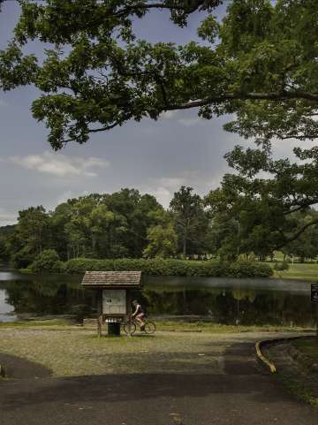 Green Lane Park