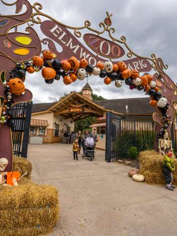Elmwood Park Zoo entrance in the fall displaying painted pumpkins in an arch