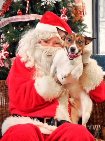 santa with dog