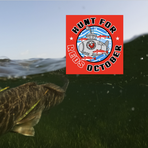 Half underwater photo showing a redfish on a line. A red logo reads "hunt for reds 2023"