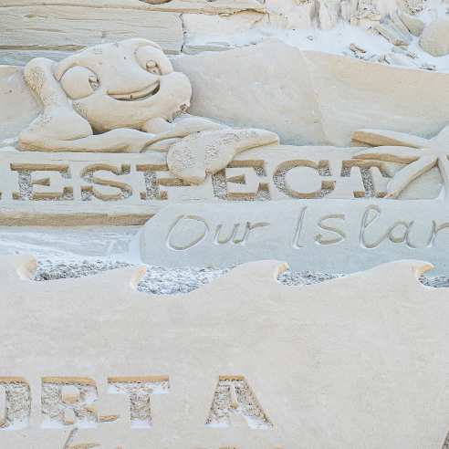 A logo reading Respect Our Island Home with a sea turtle on it carved into sand