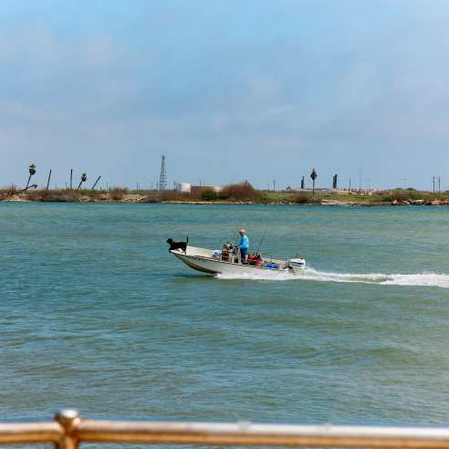 A man in a blue shirt drives a boat across blue water with a black dog at the helm