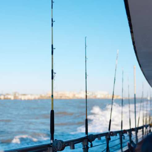 A row of fishing poles are lined up against the rail of a boat with blue water in the background
