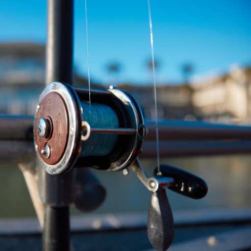 A close up of a silver fishing reel. Background is blurred.
