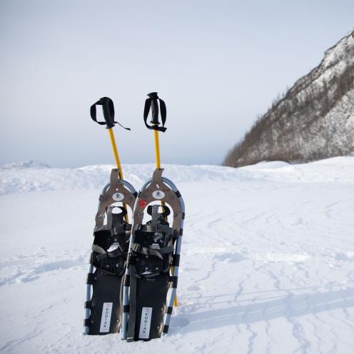 snowshoes and ski poles placed in a snowbank