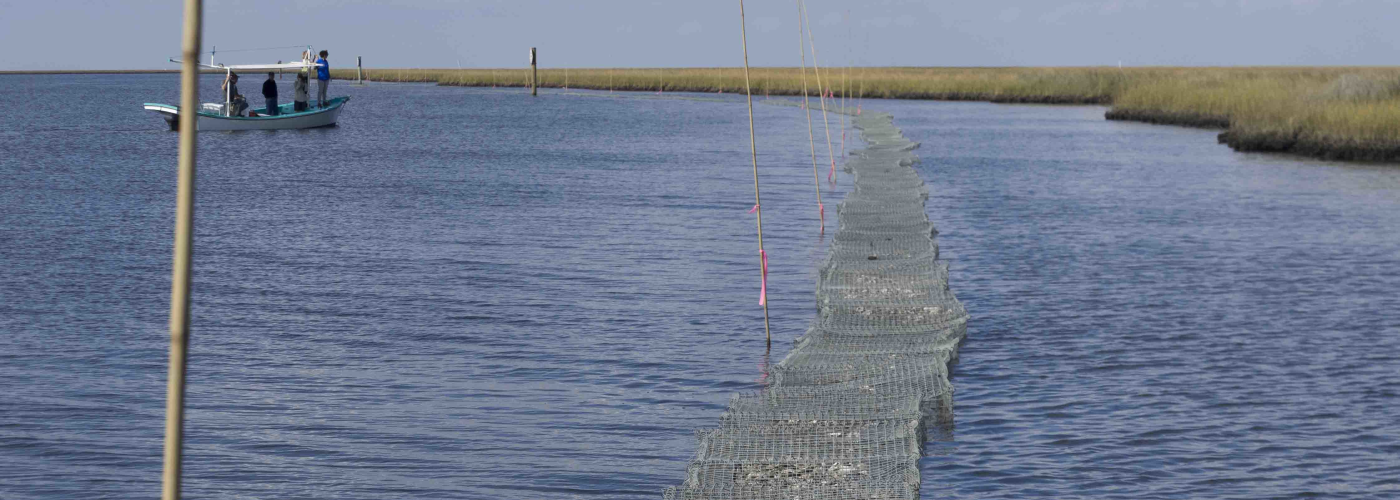 Coalition to Restore Coastal Louisiana - Oyster Shell Recycling Program Reef