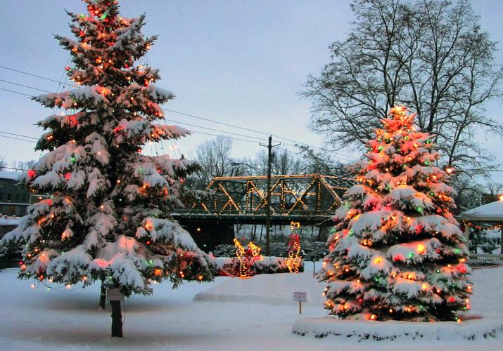 Christmas Trees in the foreground with the Bridge St Bridge in backgrouns