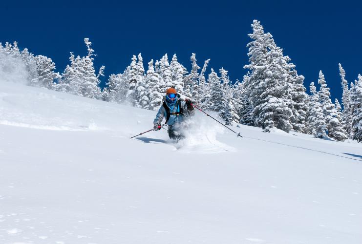 Skier in Deep Powder