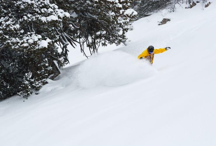 Skier skiing at Beaver Mountain Ski Resort