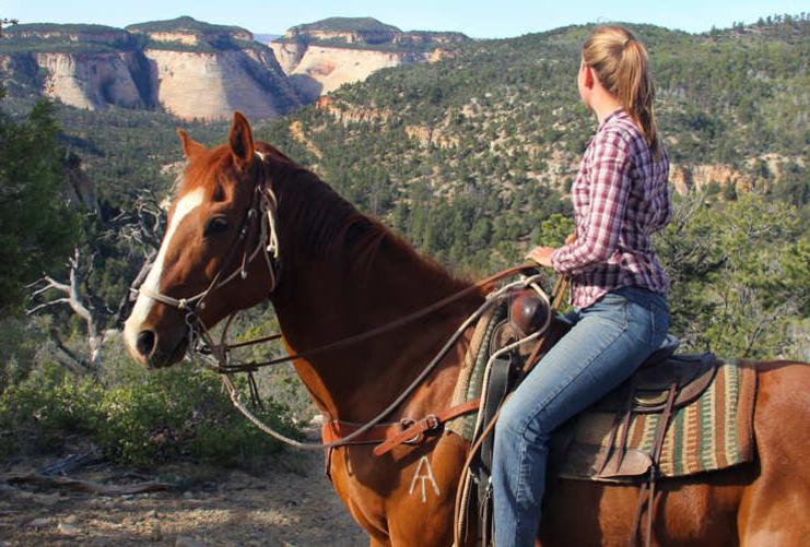 Horseback rider riding on a horse in Zion National Park