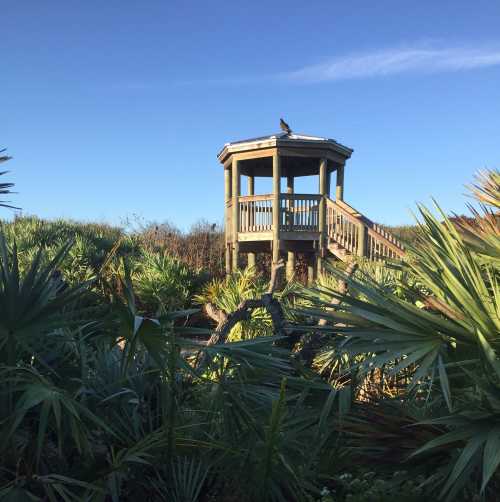 Ponce Preserve Observation Tower